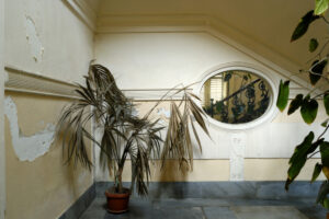Interno, Inside
