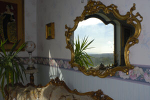 Window and mirror