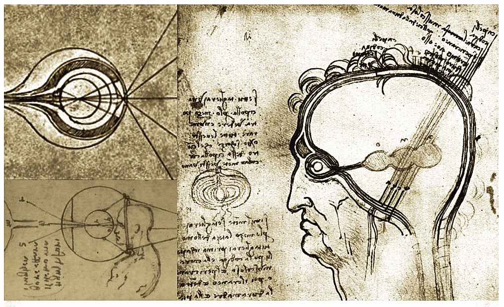 Leonardo da Vinci, teoria della rifrazione della luce e il meccanismo di formazione dell'immagine attraverso il nostro occhio.