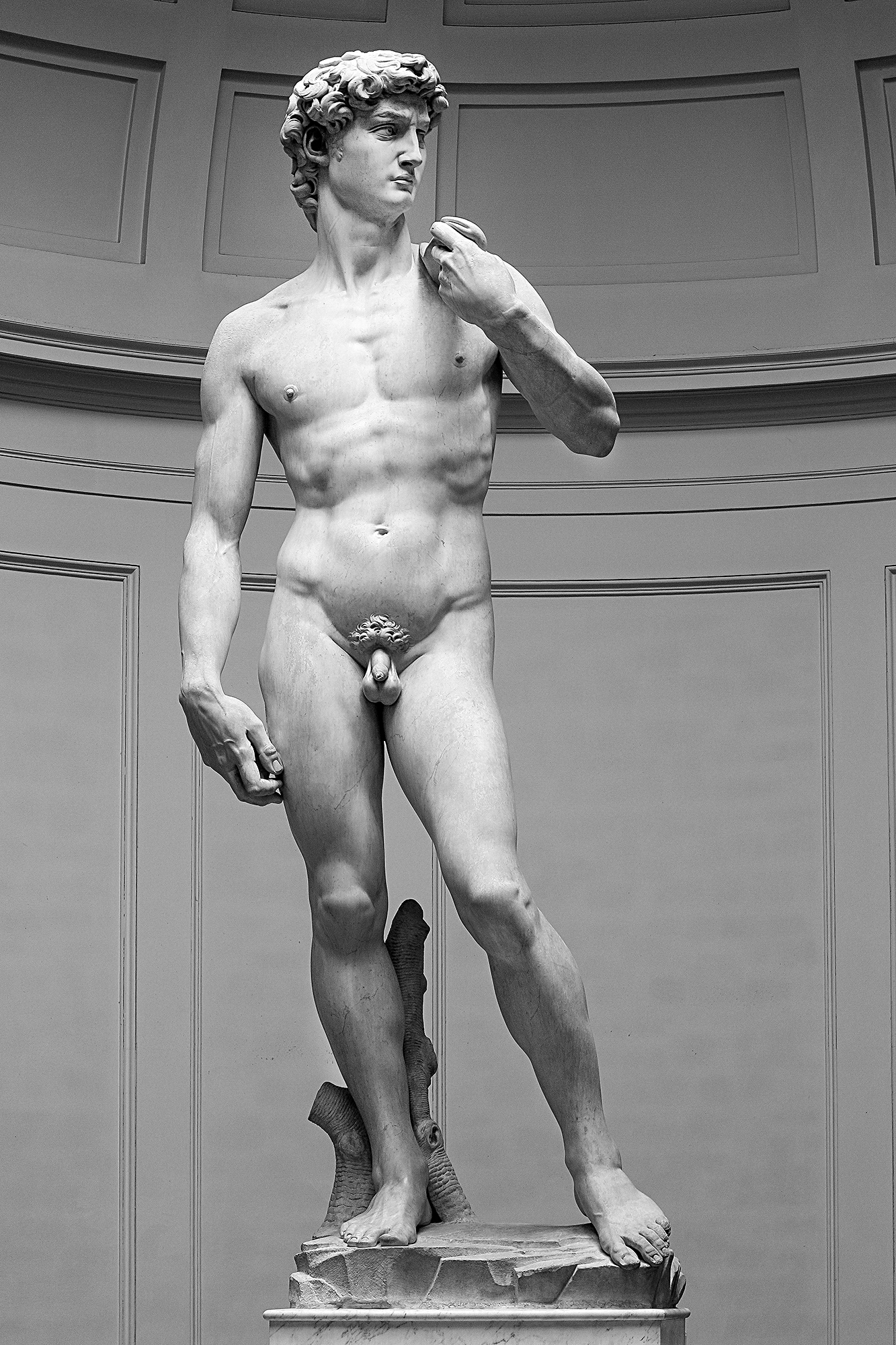 David by Michelangelo Florence Galleria dell'Accademia David by Michelangelo Florence Galleria dell'Accademia
